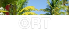 RT74-LR