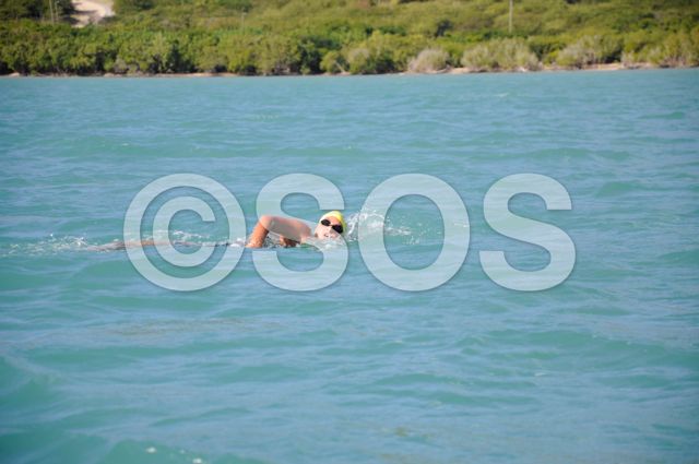 SOS41-LR